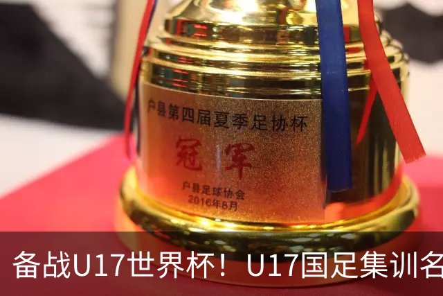 备战U17世界杯！U17国足集训名单：帅惟浩入选，张伯霖、谢晋在列
